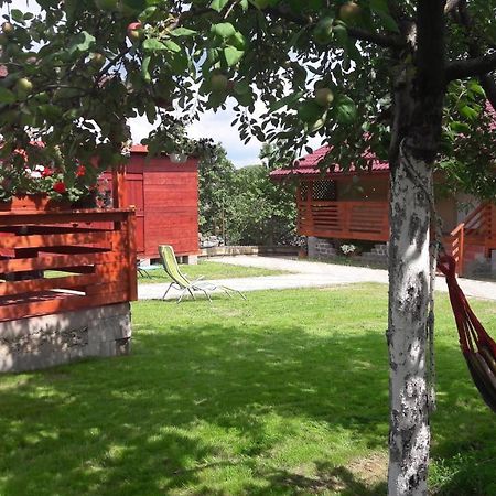 トゥルダ Casa Anamariaヴィラ エクステリア 写真